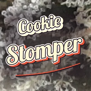 Cookie Stomper Cannabis Strain