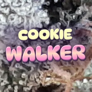 Cookie Walker Cannabis Strain