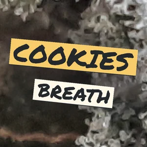 Cookies Breath Cannabis Strain