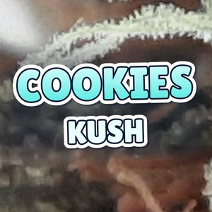 Cookies Kush Cannabis Strain