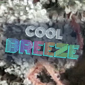 Cool Breeze Cannabis Strain