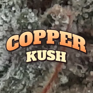 Copper Kush Cannabis Strain