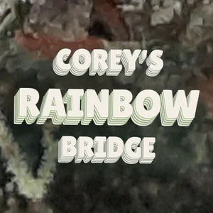 Corey's Rainbow Bridge Cannabis Strain