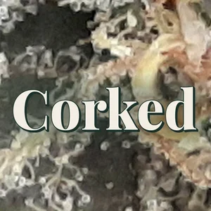 Corked Cannabis Strain