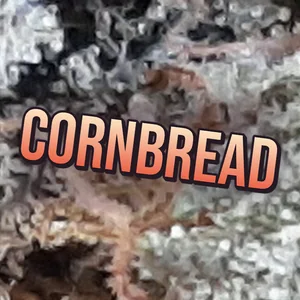 Cornbread Cannabis Strain