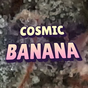 Cosmic Banana Cannabis Strain
