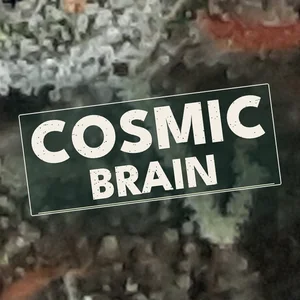 Cosmic Brain Cannabis Strain