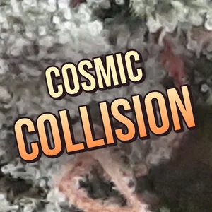 Cosmic Collision Cannabis Strain