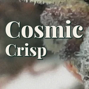 Cosmic Crisp Cannabis Strain