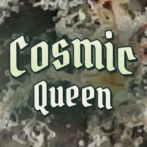 Cosmic Queen Cannabis Strain