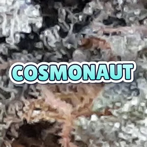 Cosmonaut Cannabis Strain