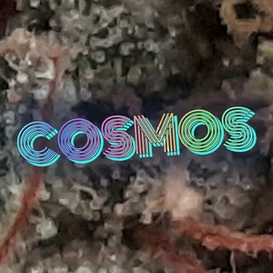 Cosmos Cannabis Strain