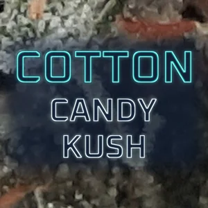 Cotton Candy Kush Cannabis Strain