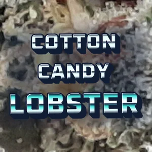 Cotton Candy Lobster Cannabis Strain