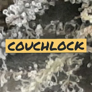 Couchlock Cannabis Strain