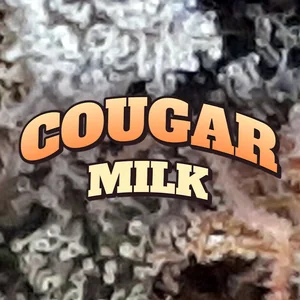 Cougar Milk Cannabis Strain