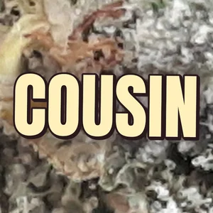 Cousin Cannabis Strain