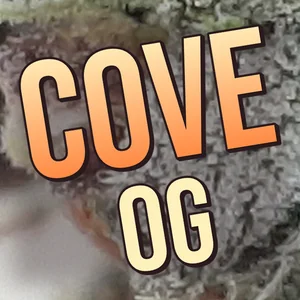 Cove OG Cannabis Strain