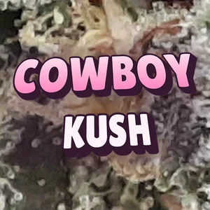 Cowboy Kush Cannabis Strain