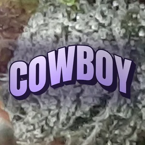 Cowboy Cannabis Strain