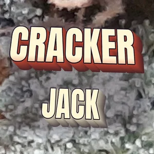 Cracker Jack Cannabis Strain