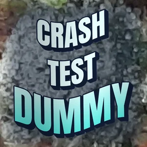 Crash Test Dummy Cannabis Strain