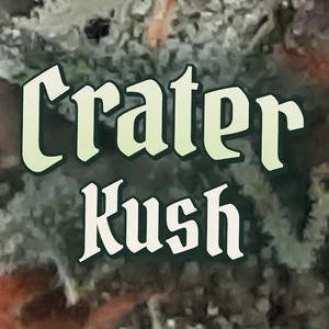Crater Kush Cannabis Strain