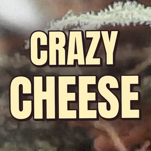Crazy Cheese Cannabis Strain