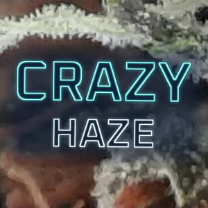 Crazy Haze Cannabis Strain