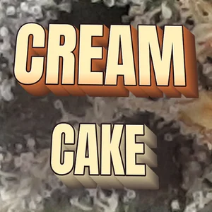 Cream Cake Cannabis Strain