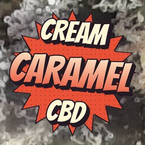Cream Caramel CBD Cannabis Strain