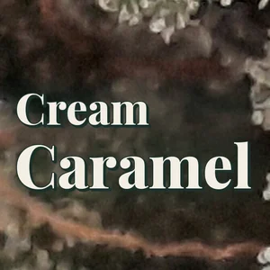 Cream Caramel Cannabis Strain