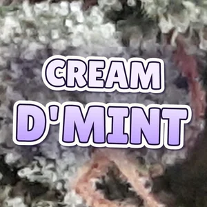 Cream D'Mint Cannabis Strain