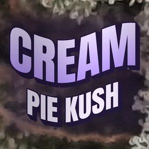 Cream Pie Kush Cannabis Strain