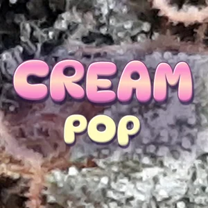 Cream Pop Cannabis Strain