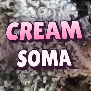 Cream Soma Cannabis Strain