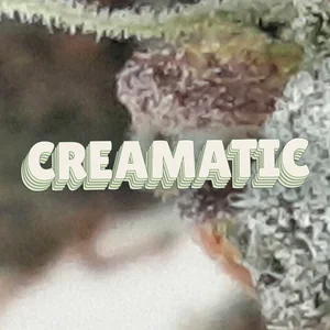 Creamatic Cannabis Strain