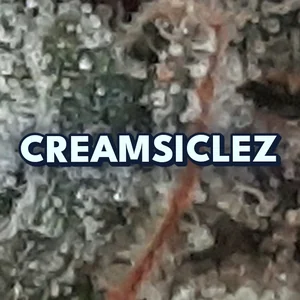 Creamsiclez Cannabis Strain