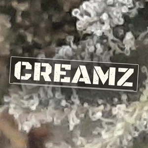 Creamz Cannabis Strain
