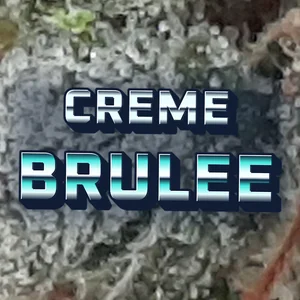 Creme Brulee Cannabis Strain
