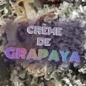 Crème de Grapaya Cannabis Strain