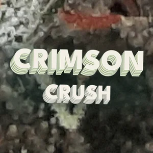 Crimson Crush Cannabis Strain