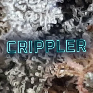 Crippler Cannabis Strain