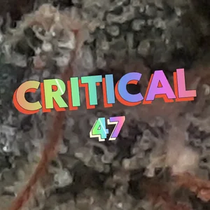 Critical 47 Cannabis Strain