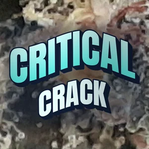 Critical Crack Cannabis Strain