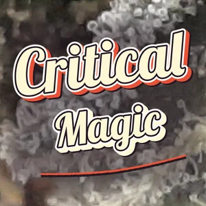 Critical Magic Cannabis Strain