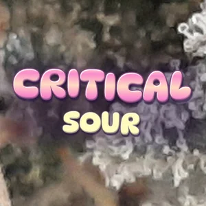 Critical Sour Cannabis Strain