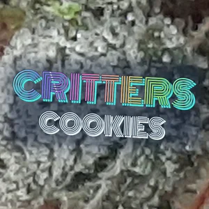 Critters Cookies Cannabis Strain