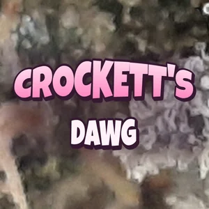 Crockett's Dawg Cannabis Strain