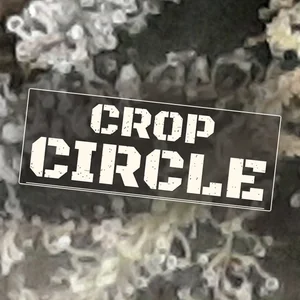 Crop Circle Cannabis Strain